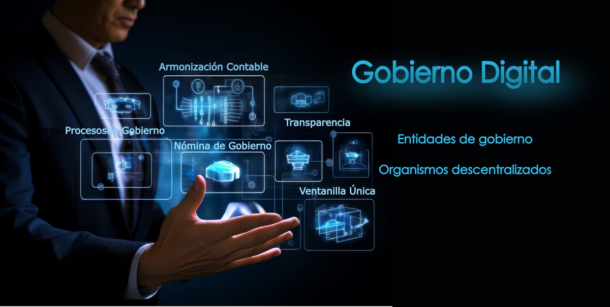 Gobierno Digital